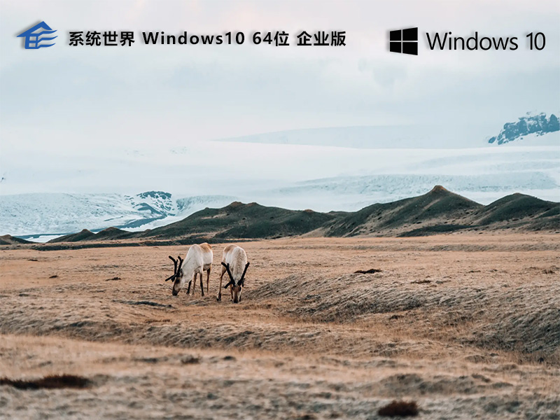 系统世界 Windows 10 企业版