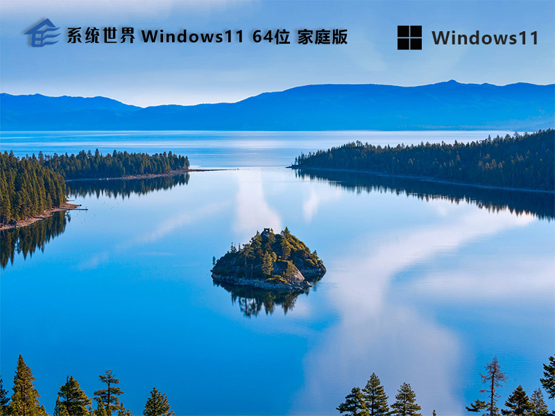 Windows11 64位 家庭版v2025.07