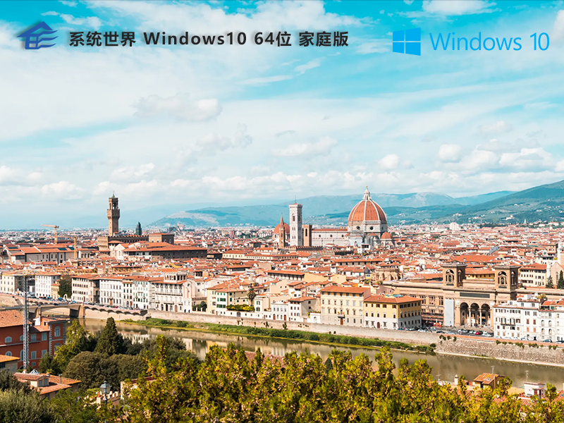 Windows 10 64位 家庭中文版v2025.07